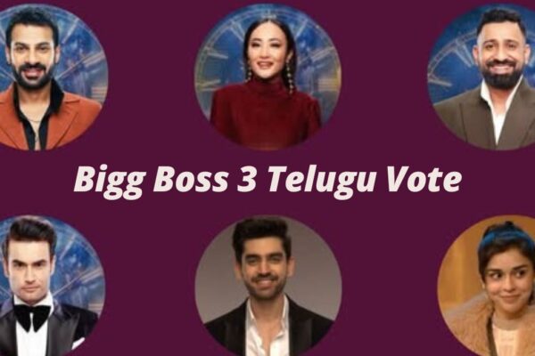 Bigg Boss 3 Telugu Vote