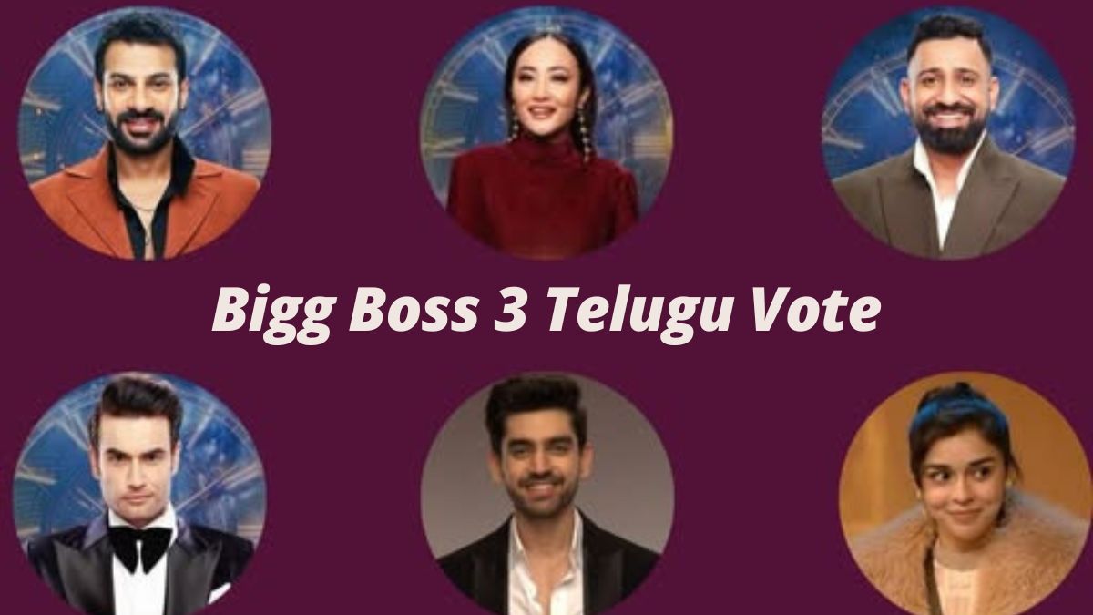 Bigg Boss 3 Telugu Vote